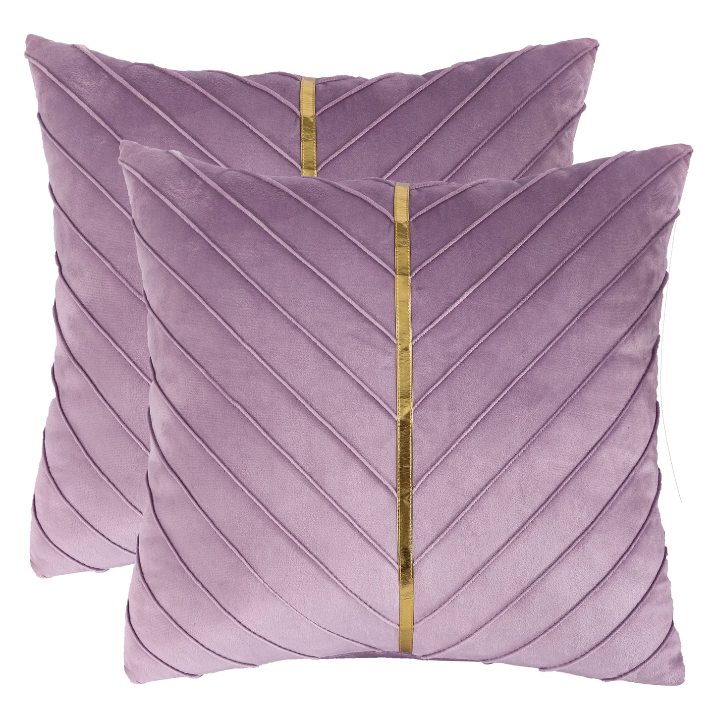 Pack of 2Pcs Velvet Throw Pillow Covers with Gold Leather Decorative 